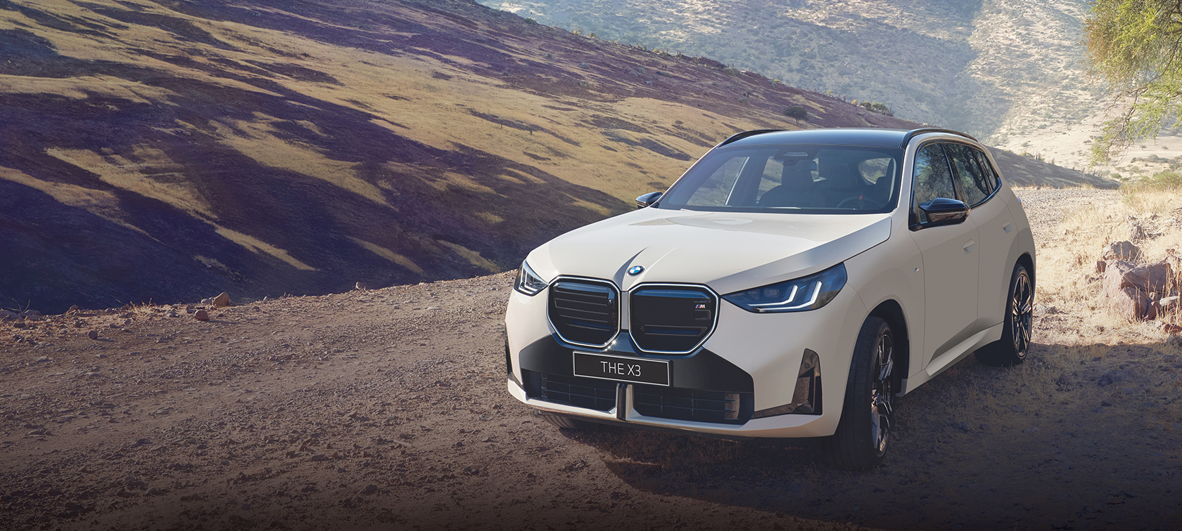 The BMW X3 SERIES