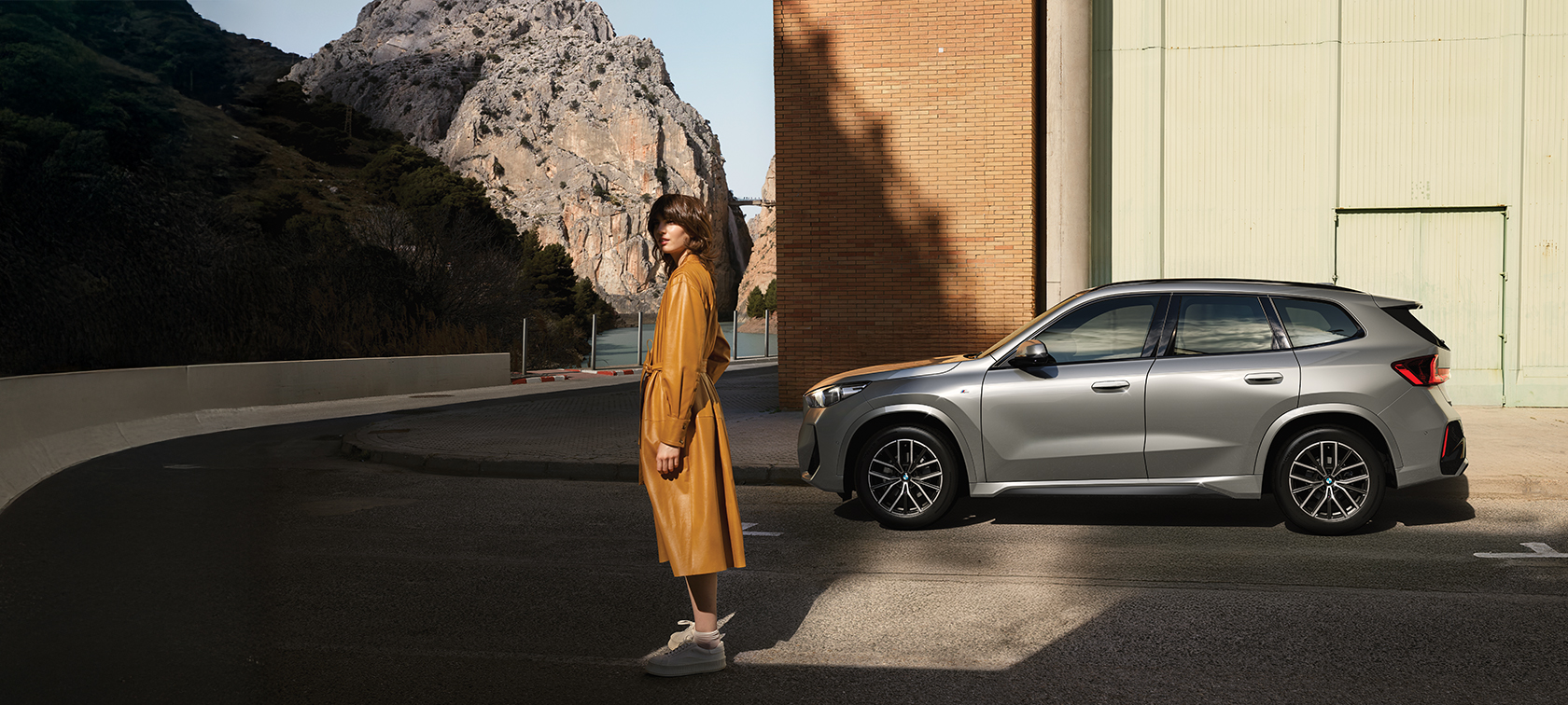 The BMW X1